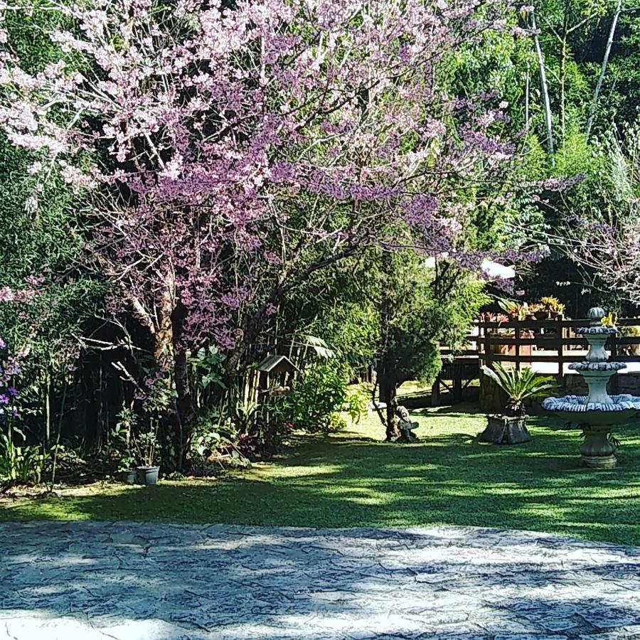 Havila Arara Azul Nova Friburgo Ngoại thất bức ảnh