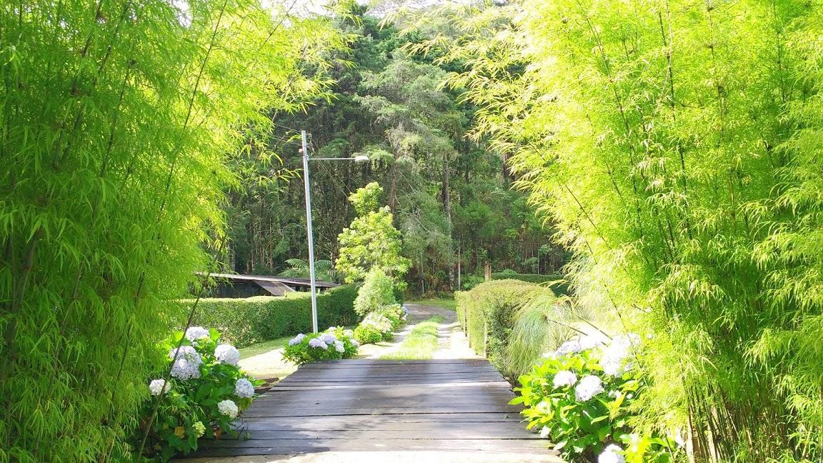 Havila Arara Azul Nova Friburgo Ngoại thất bức ảnh